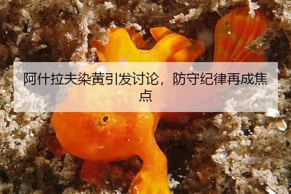 阿什拉夫染黄引发讨论，防守纪律再成焦点